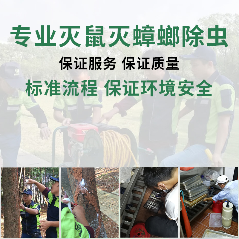 宿遷專業(yè)殺蟲(chóng).jpg 宿遷專業(yè)殺蟲(chóng).jpg