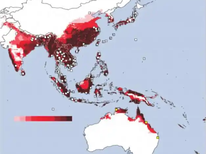 白線伊蚊分布圖